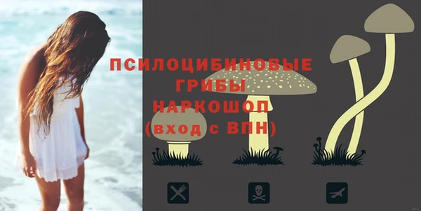 амф Богородск