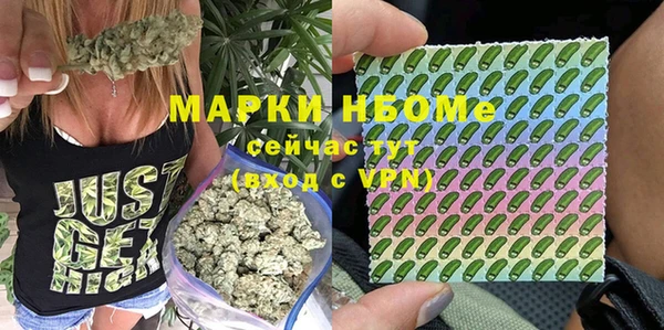 амф Богородск