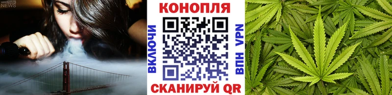 Купить закладки  Мирный  Шишки марихуана Amnesia 